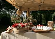 Mostra-mercato Vanzo Floreale 2009